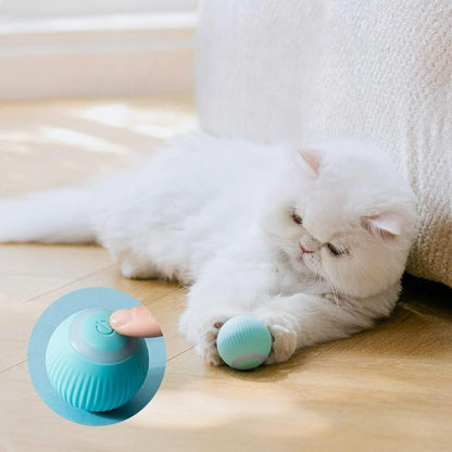 Smart Pet Chase Ball
