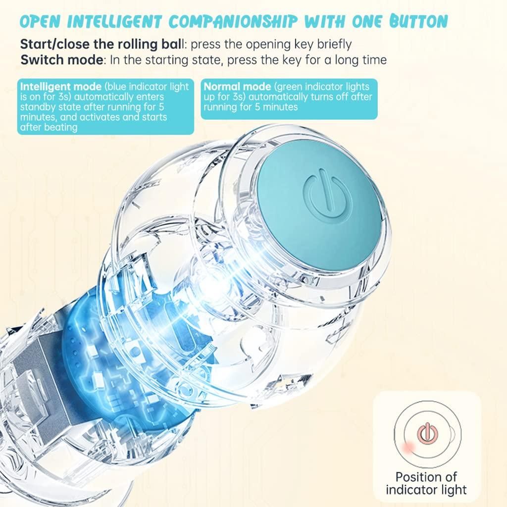 Smart Pet Chase Ball