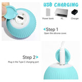 Smart Pet Chase Ball
