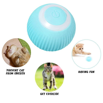 Smart Pet Chase Ball