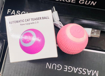 Smart Pet Chase Ball