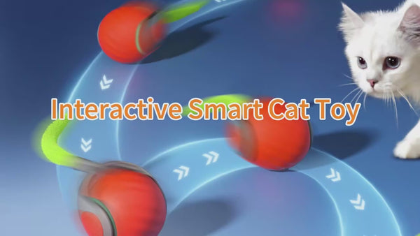 Smart Pet Chase Ball
